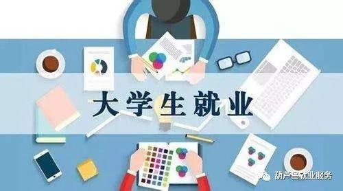 葫芦岛最新招工信息全面解析