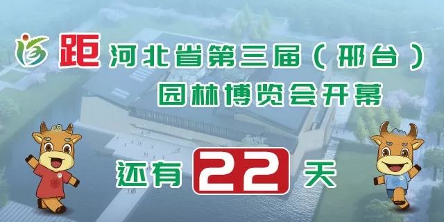 邢台沙河市最新招聘动态及其影响分析