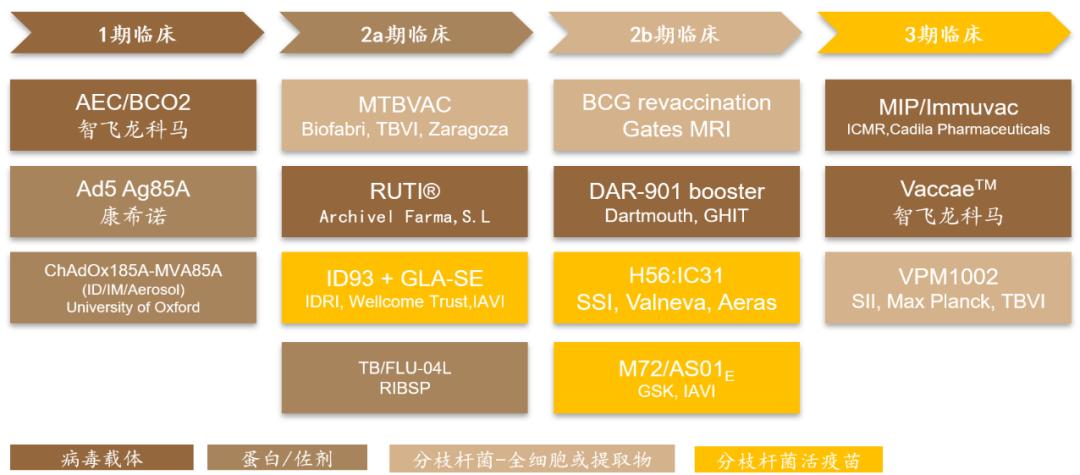 微卡论坛最新消息综述，全面解读最新动态