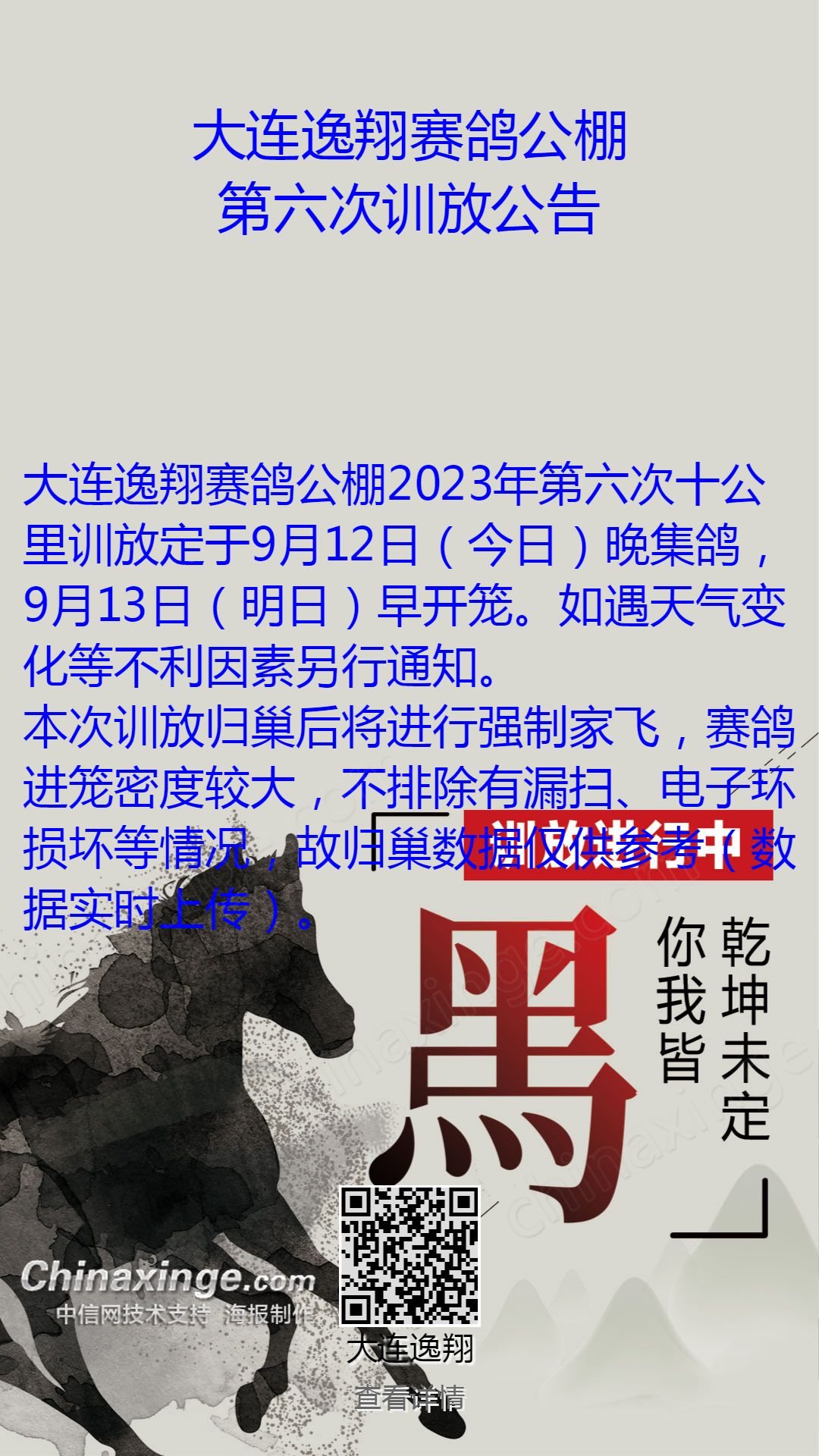 大连市信鸽协会最新公告发布，更新动态与活动通知