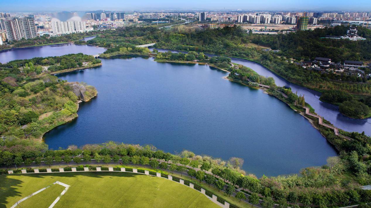 定远天穹湾价格动态与市场影响力解析