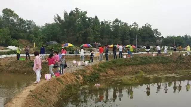 游仙区东林乡发展规划揭秘，乡村发展的未来蓝图