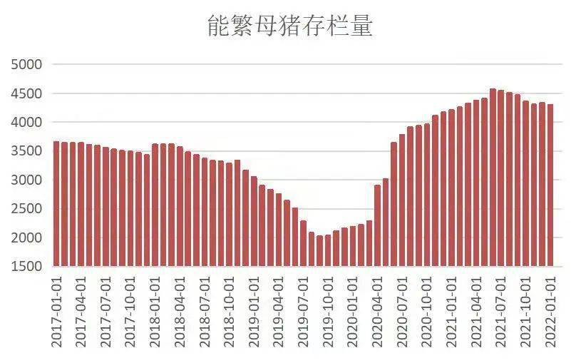 全国母猪存栏最新数据报告分析