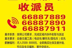 乐从招聘司机最新启事，寻找合适的驾驶人才