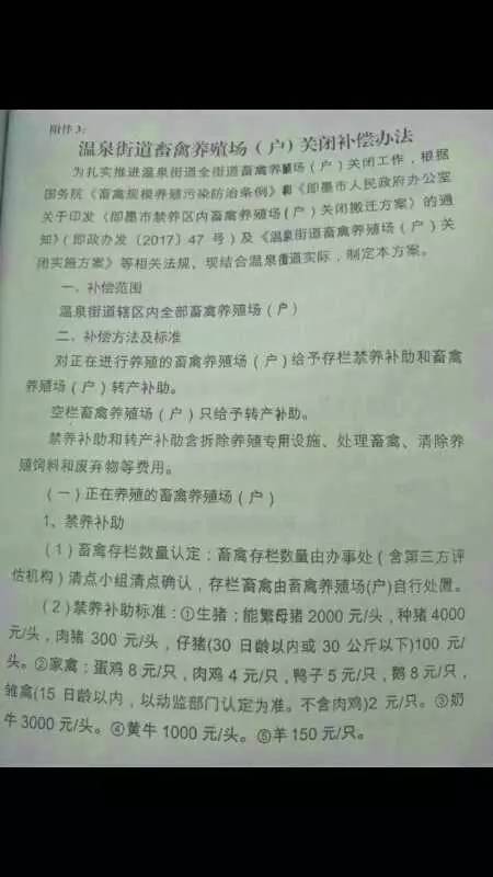 济南重塑生态与宠物管理平衡，最新禁养区消息发布