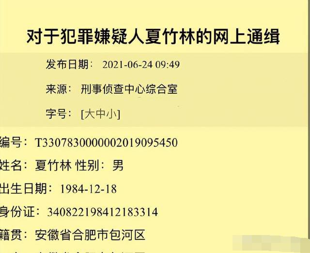 社会警钟长鸣，最新通缉犯名单与公众责任共同关注