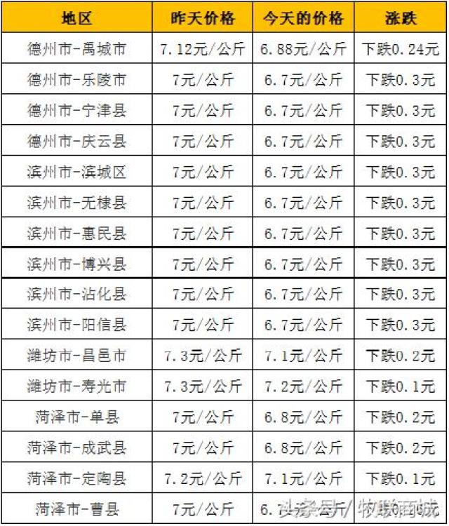 山东鸡蛋今日价格概览及分析