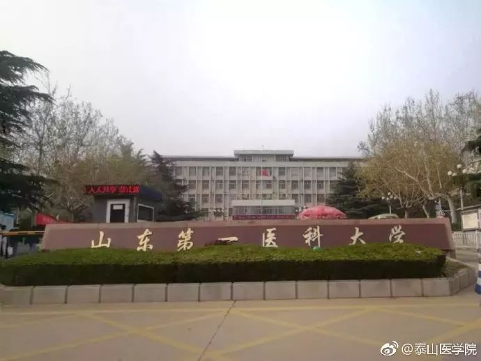 泰山医学院更名最新动态与影响分析