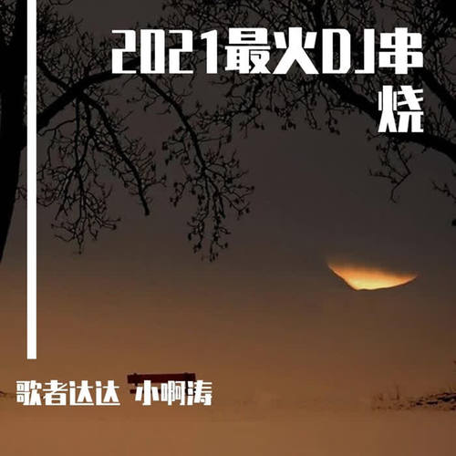 最新串烧音乐，独特魅力的音乐展现