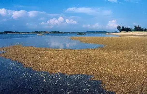 钦州麻蓝岛旅游攻略，探秘神秘海岛的魅力