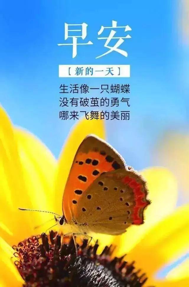 最新早安励志语录带图，激发每日活力启程