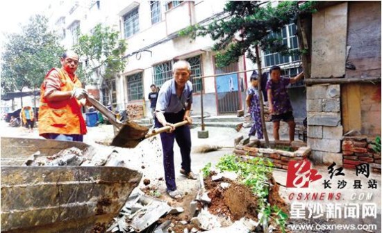 长沙南托街道最新动态，城市发展的活力中心