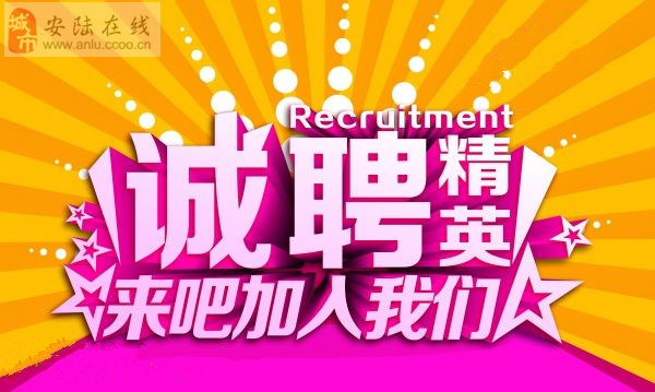 安陆最新招聘动态及其社会影响分析