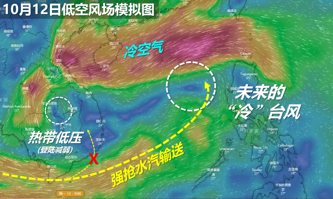 台风十六号最新动态报告，最新消息与动态更新