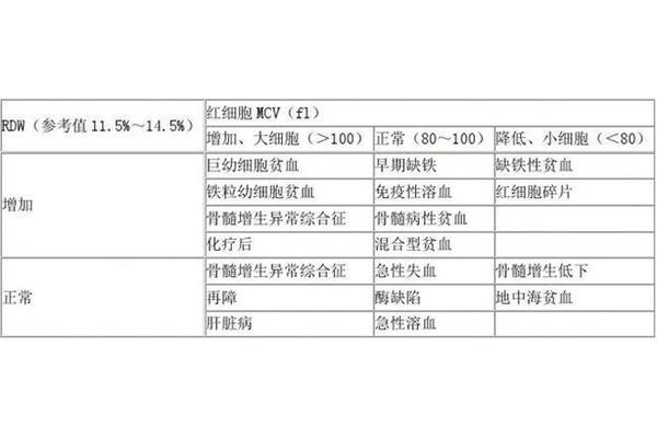 贫血的分级最新标准概览