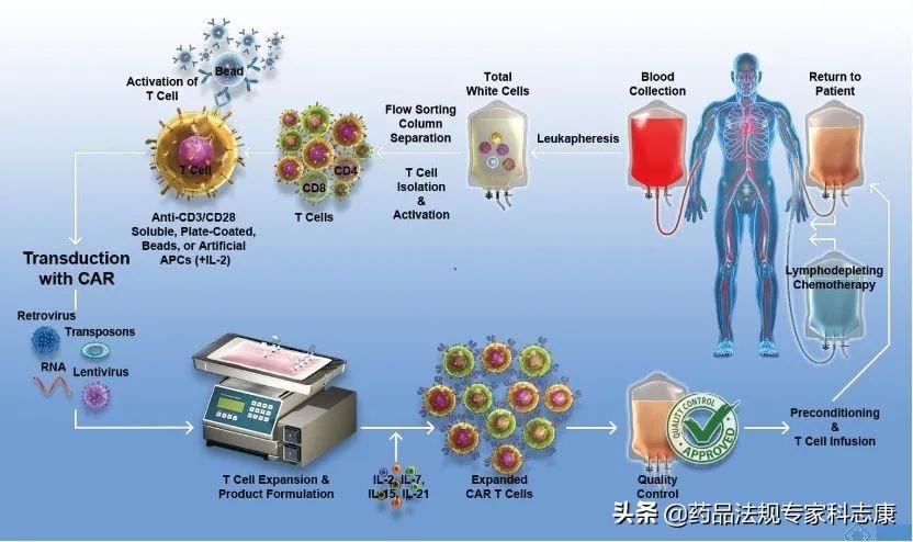 最新翻译技术革新及其深远影响