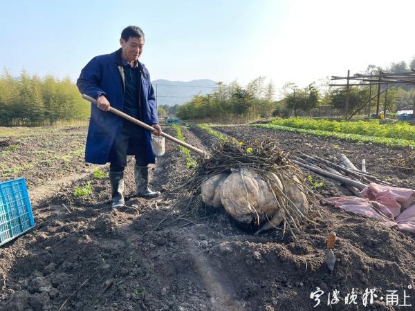 农业革命的新篇章，超级农民的最新章节