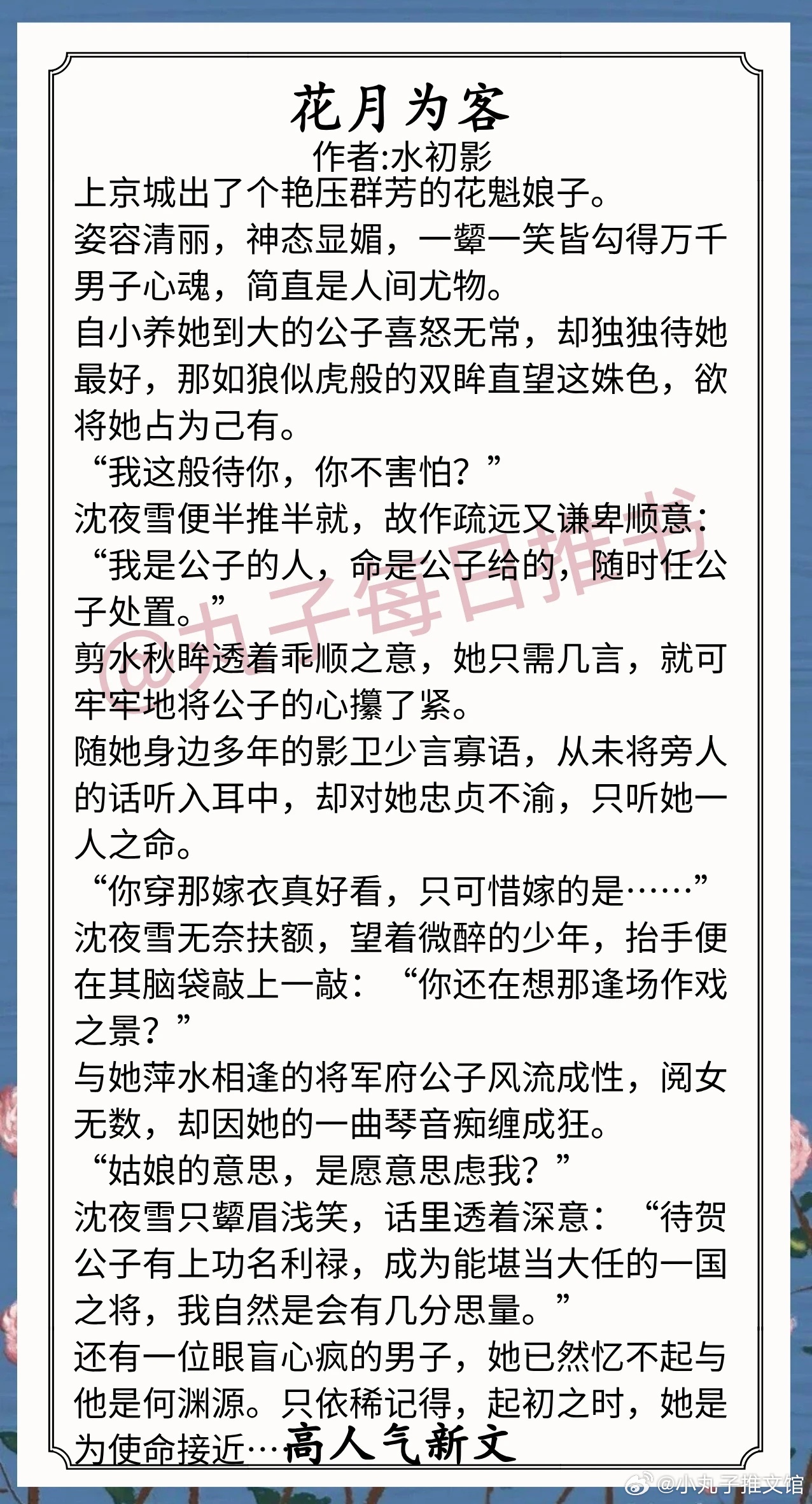 最新言情小说，情感交织的浪漫世界之旅