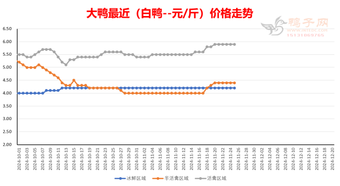 今日鹅价格行情分析与趋势预测