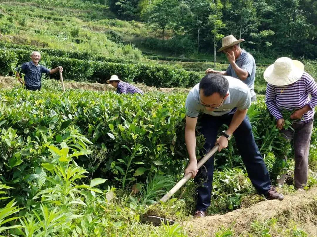 舞阳县科技局项目进展与创新动态更新