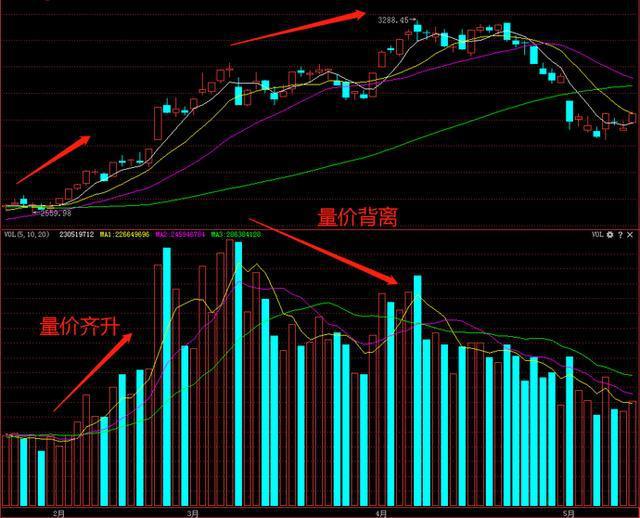 2024年12月8日 第22页