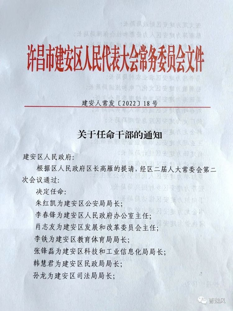 振安区科技局人事任命动态更新