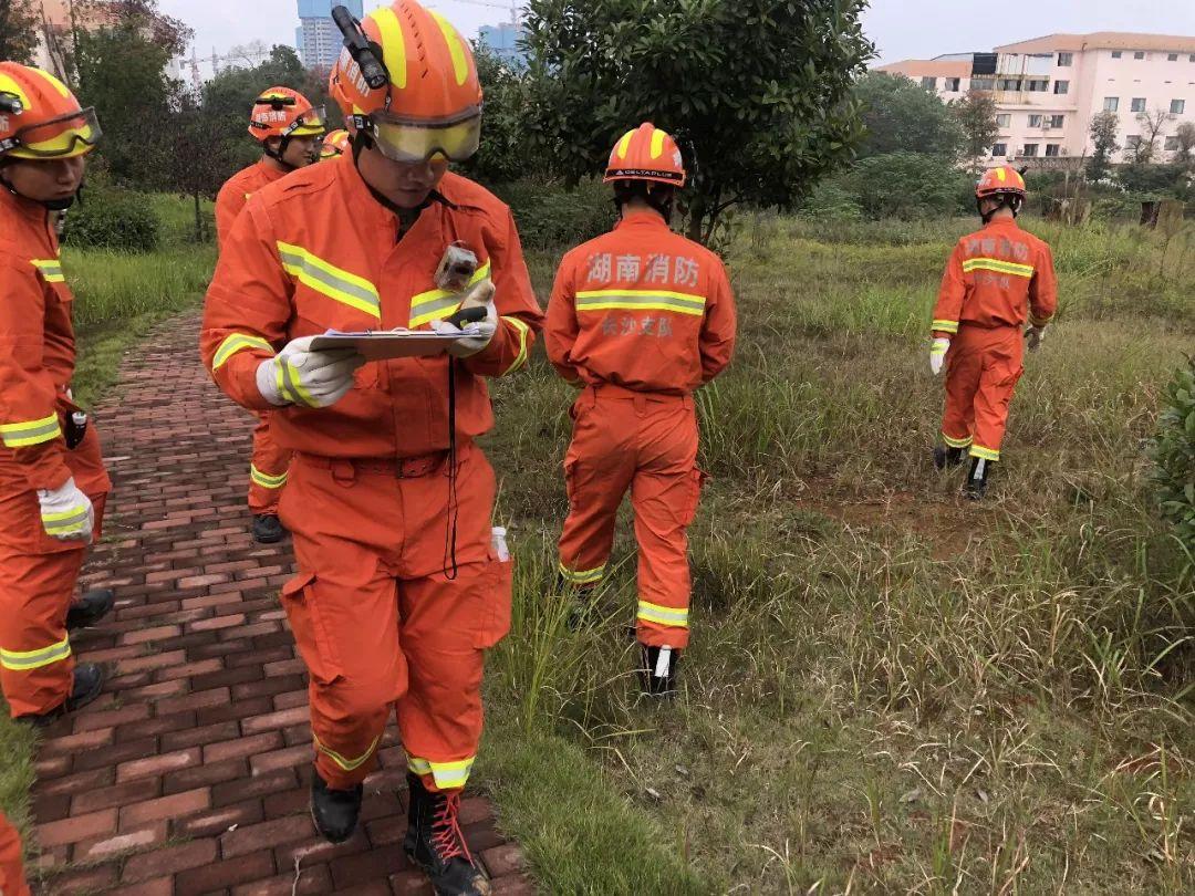 全球地震新闻，震动与应对策略揭秘