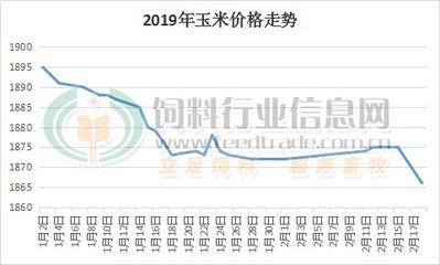 山东省玉米价格最新行情解析